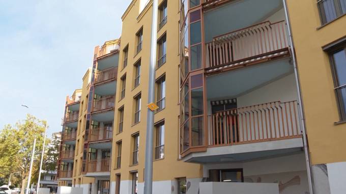 Bezahlbare 5,5-Zimmer-Wohnungen: Wohnsiedlung Hornbach stellt sich vor