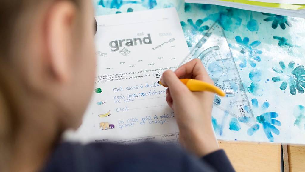 Der Französischunterricht auf Primarschulstufe wurde in Schwyz auf das Schuljahr 2005/06 eingeführt. (Symbolbild)