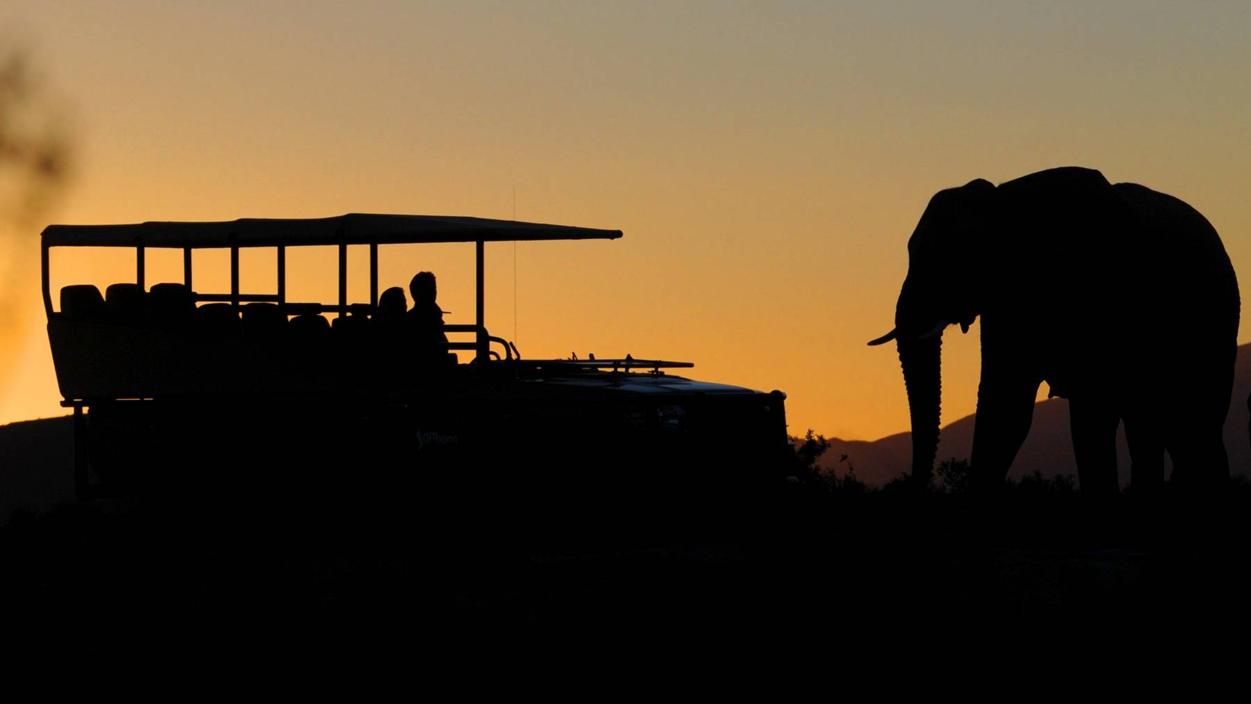 36 Grad Südafrika Safari