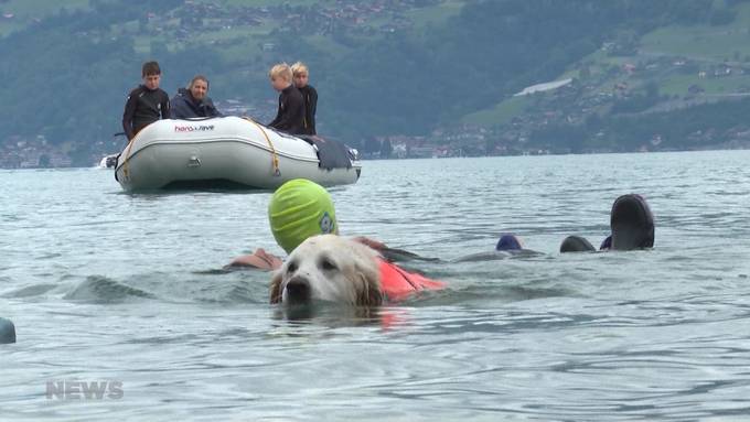 Ferienpass Rettungsschwimmen: Sicherer Badespass für Kinder