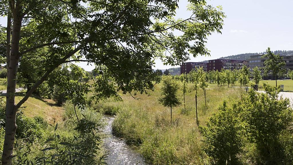 Kleine Fliessgewässer sind in der Schweiz nach wie vor stark verschmutzt. Hauptverursacher sind neben den via Kläranlagen anfallenden Mikroverunreinigungen die in der Landwirtschaft eingesetzten Pflanzenschutzmittel. (Archivbild)