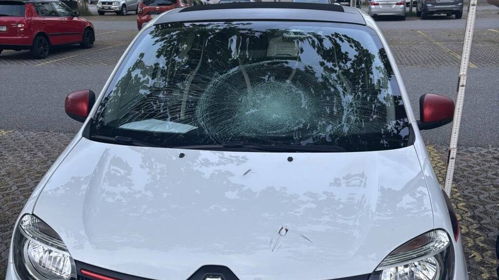 Der 10-jährige Junge prallte offenbar gegen die Windschutzscheibe des Autos.