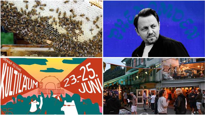 Bienen und Festivals im Pilatusland – Langeweile? Fehlanzeige!