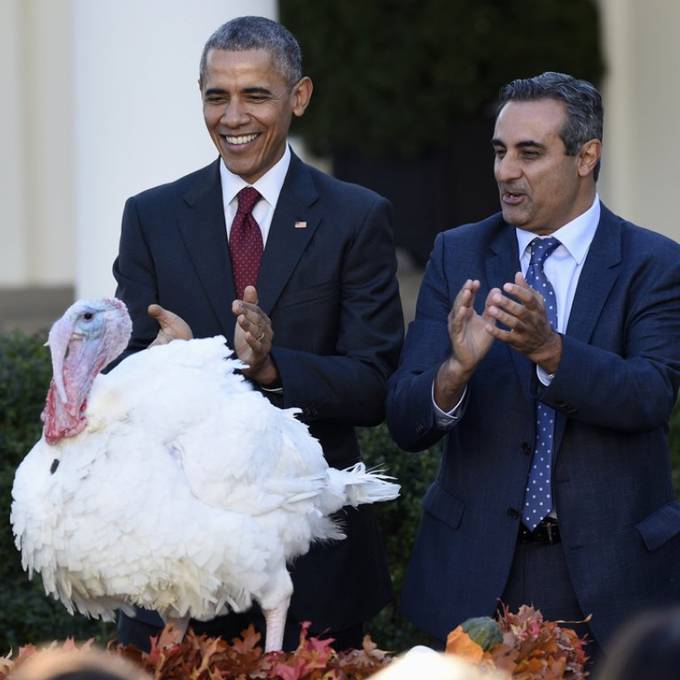Obama begnadigt zu Thanksgiving die Truthähne «Honest» und «Abe»