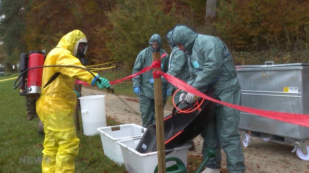 Mit Schutzanzug gegen afrikanische Schweinepest: Im Sand bei Schönbühl üben Behörden den Ernstfall