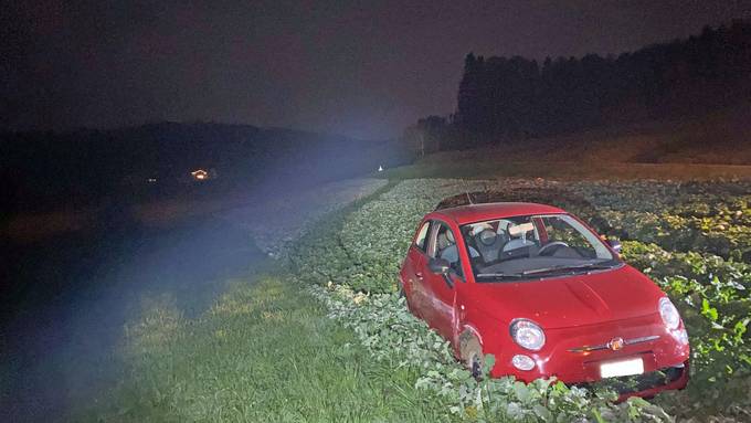 50'000 Franken: Betrunkene 60-Jährige verursacht massiven Landschaden