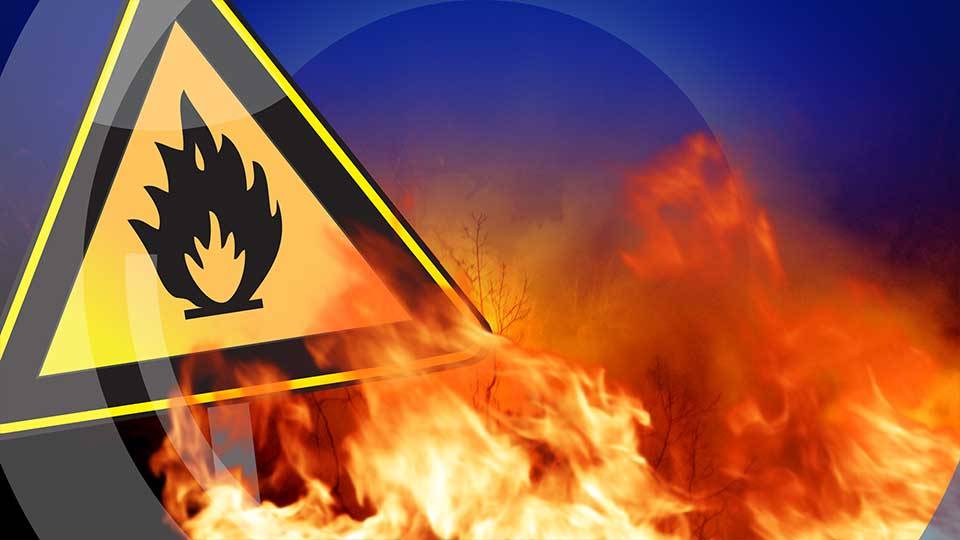 Brand