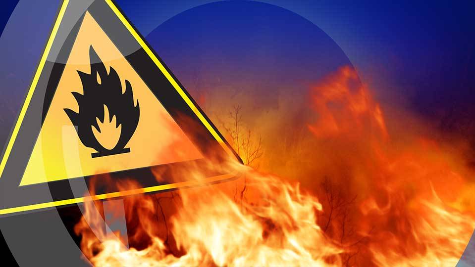 Brand