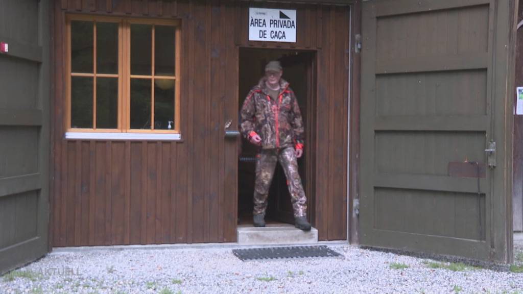 Wildschweinfleisch muss wegen Giftstoffen im Boden um die KVA Buchs getestet werden