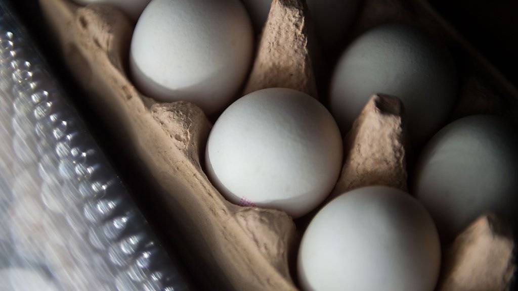 Auch Eier, die in die Schweiz importiert wurden und die der Handel anbietet, sind mit Rückständen des Insektizids Fipronil belastet. (Symbolbild)