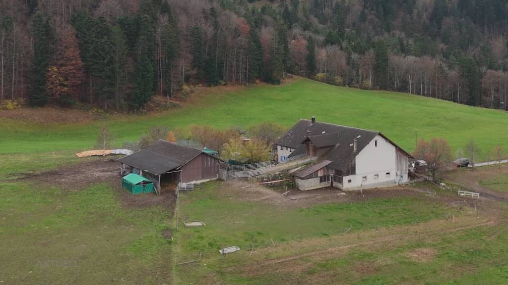 Regierung räumt Fehler beim Tierschutzfall Ramiswil ein