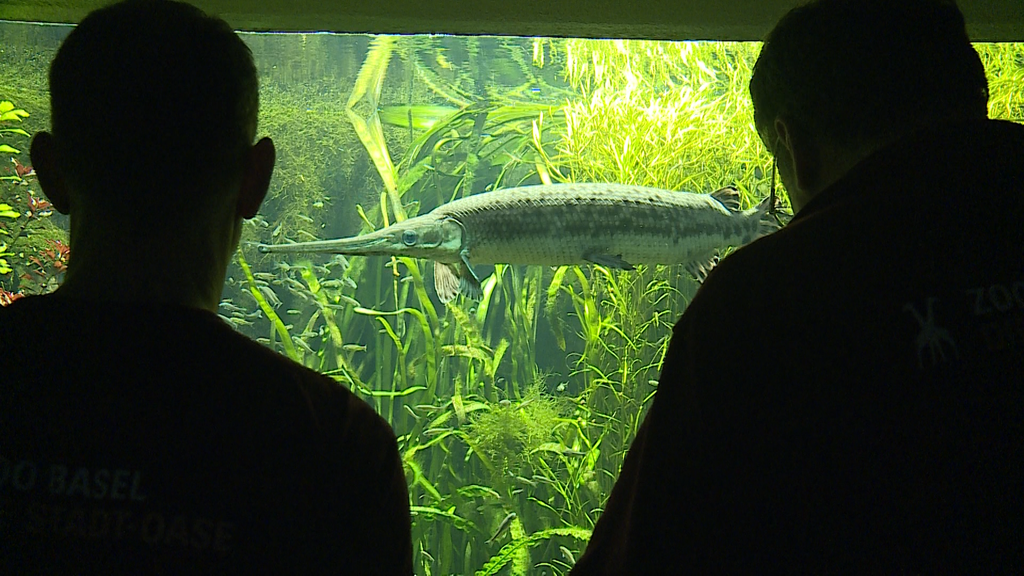 Inventur Vivarium Zoo Basel 