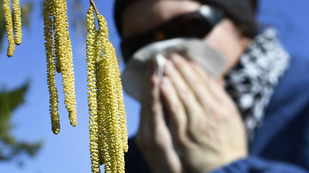 Deshalb leiden immer mehr Menschen an Allergien