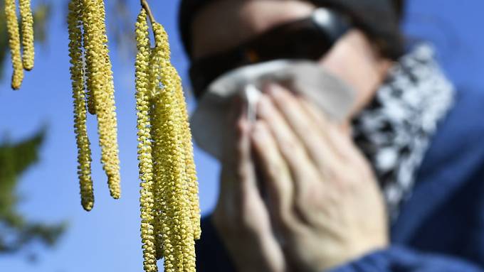 Deshalb leiden immer mehr Menschen an Allergien