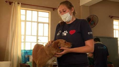 Spezialsendung: Tierschutz auf Mauritius (W)