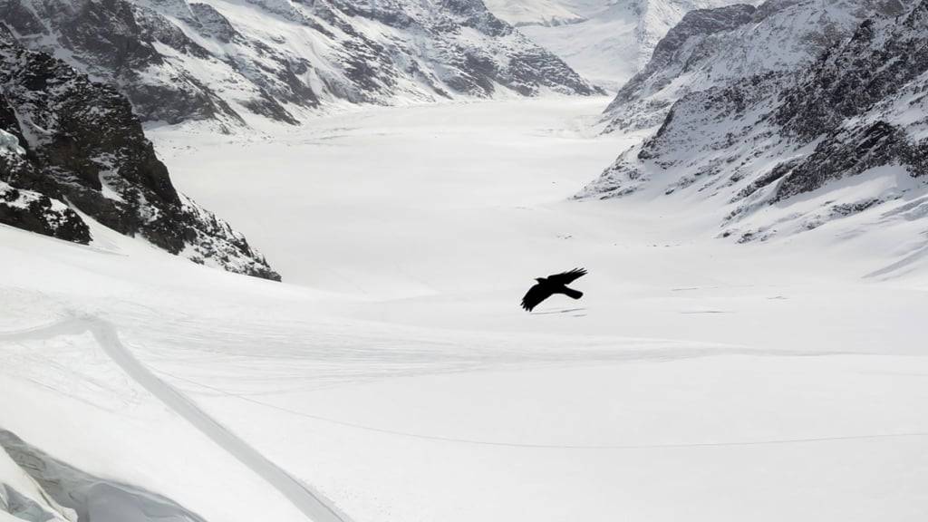 Der Schnee, der diesen Winter den Grossen Aletschgletscher bedeckte, ist bereits wieder weg. (Archivbild)