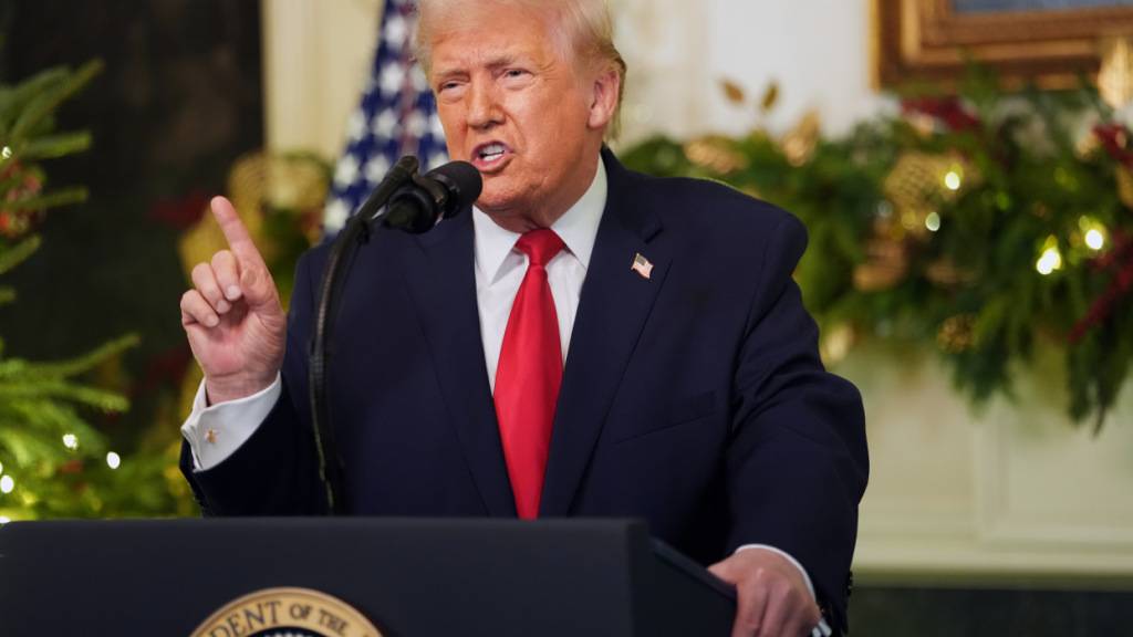 dpatopbilder - US-Präsident Donald Trump spricht während einer Ansprache an die Nation aus dem diplomatischen Empfangsraum im Weißen Haus in Washington. Foto: Doug Mills/Pool The New York Times/dpa