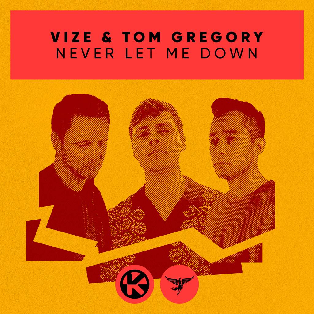 VIZE & TOM GREGORY - NEVER LET ME DOWN
