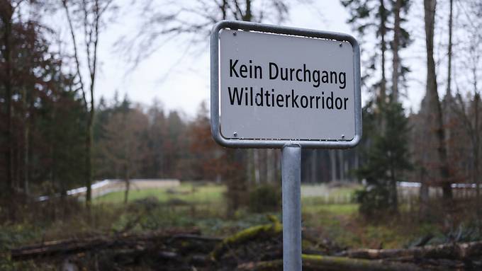 Schwyzer Regierung muss Strassenbauprojekt in Tuggen überarbeiten