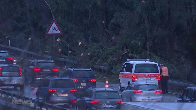 Baum versperrt A1 bei Mühleberg