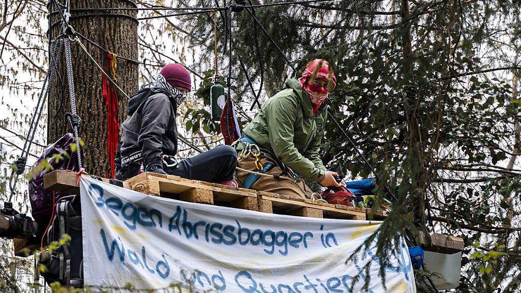 Bezirksgericht Dielsdorf spricht Waldbesetzer grösstenteils frei