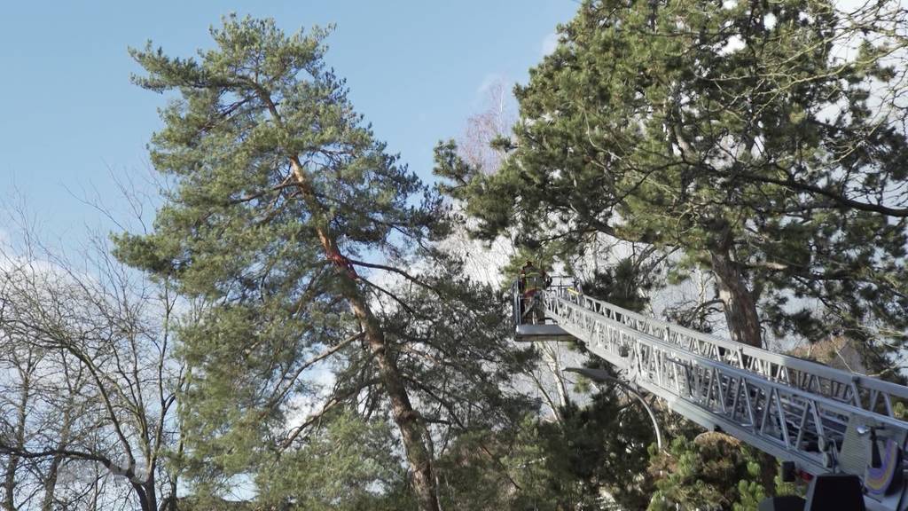 Orkanböen: Sturm Veiko richtet Chaos an