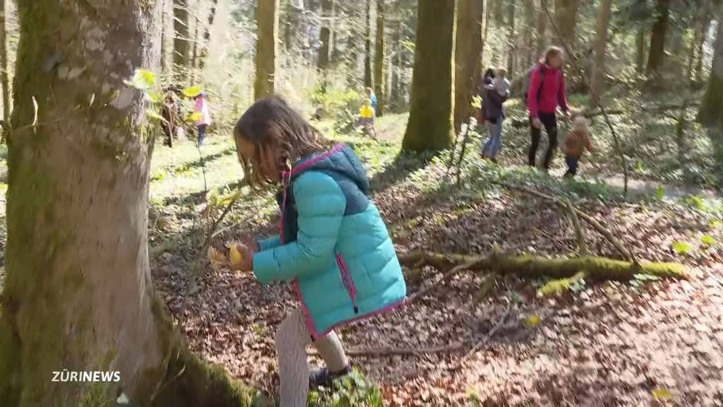Abenteuer im Sihlwald: Kinderschar macht sich auf die Suche nach 400 Ostereiern
