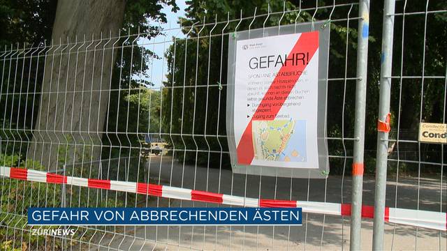 Fussgängerweg am Zürichsee aus Sicherheitsgründen gesperrt