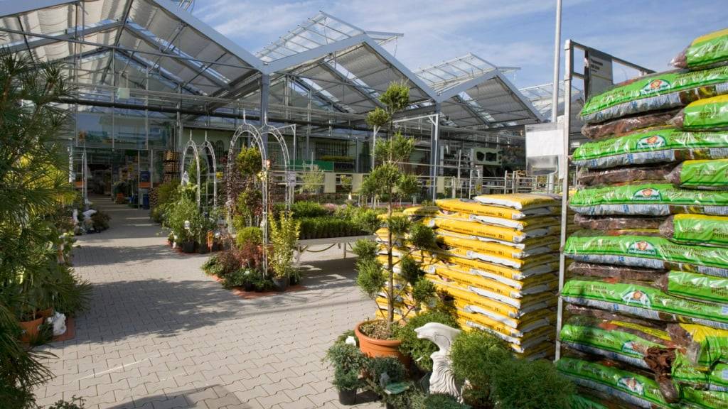 Torf wird als Wachstumssubstrat für Zierpflanzen und Setzlinge im Gemüsebau genutzt. Für die Umwelt ist dies problematisch. (Symbolbild)