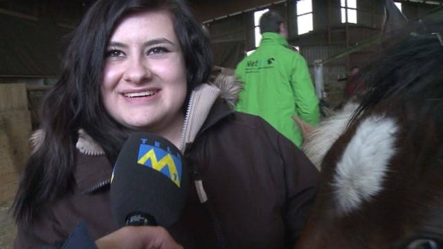 Happy End für 33 Pferde im Jura