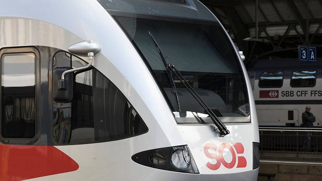 Die Südostbahn plant umfangreiche Sanierungen auf der Bahnstrecke zwischen Herisau und Wattwil. (Archivbild