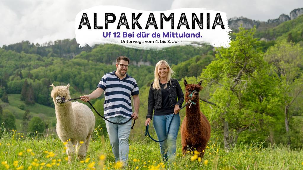 Alpakamania 2.0