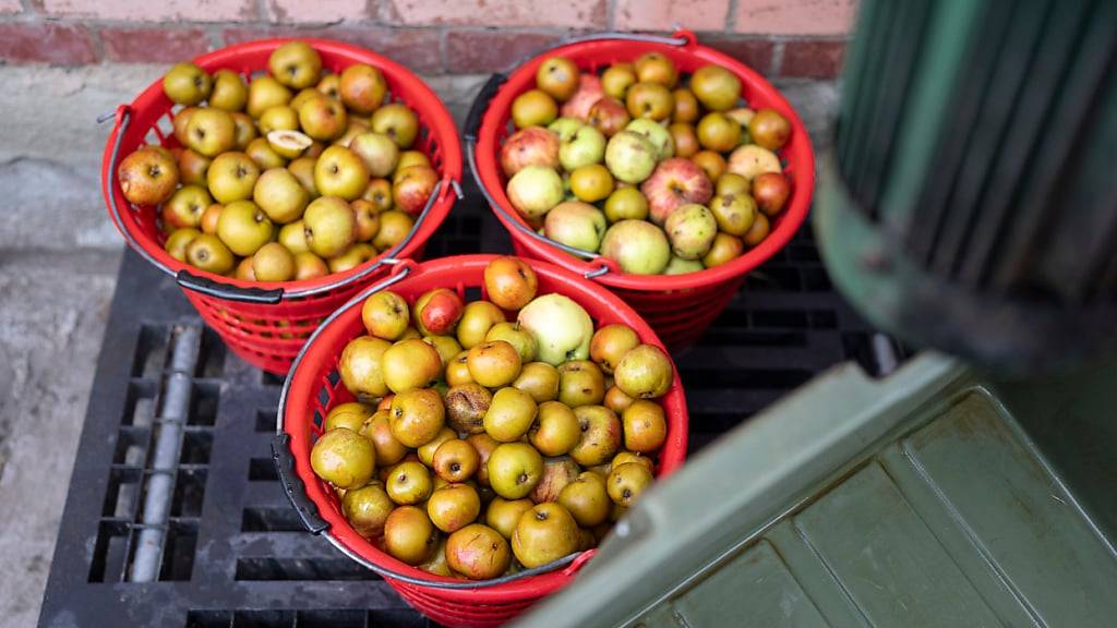 Gibt es PFAS auch in Obst? Die Untersuchung der Folgen der belasteten Böden steht erst am Anfang. (Archivbild)